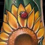 Tattoos - sunflower and ladybugs - 99533